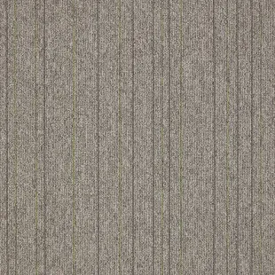 First_Straightline_146