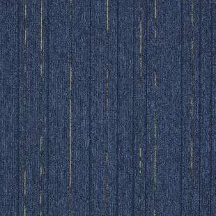 First_Straightline_502