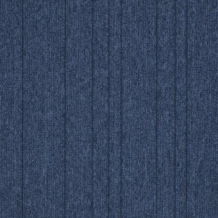 First_Straightline_504