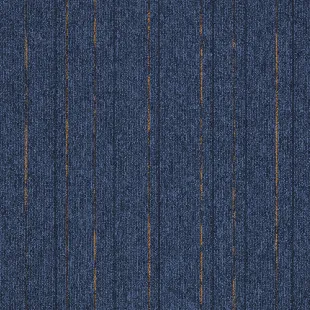 First_Straightline_507