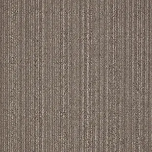 First_Streamline_106