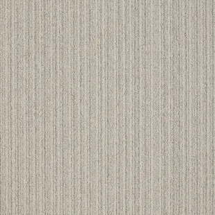 First_Streamline_130