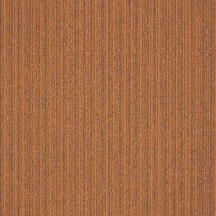 First_Streamline_306