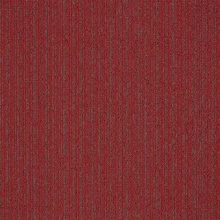 First_Streamline_332