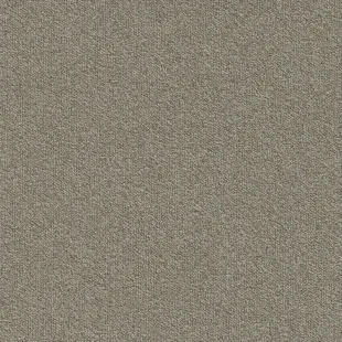 Millennium_Nxtgen_061