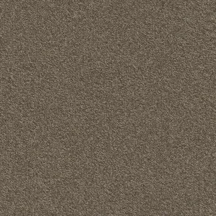 Millennium_Nxtgen_140