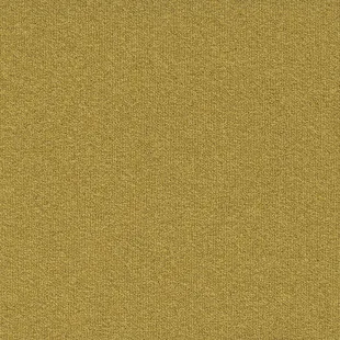 Millennium_Nxtgen_200