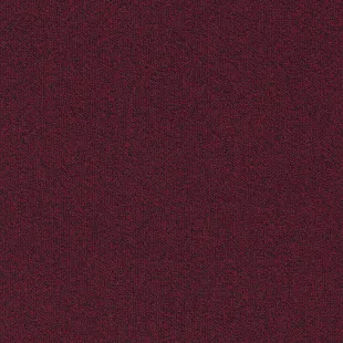 Millennium_Nxtgen_310