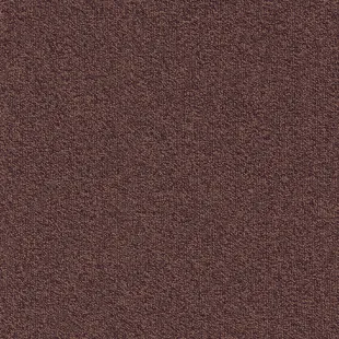 Millennium_Nxtgen_323