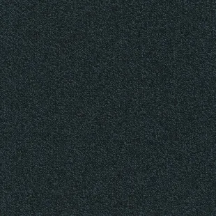 Millennium_Nxtgen_524