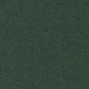 Millennium_Nxtgen_695