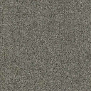 Millennium_Nxtgen_817