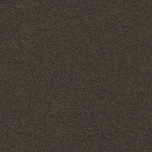 Millennium_Nxtgen_883