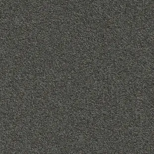 Millennium_Nxtgen_989